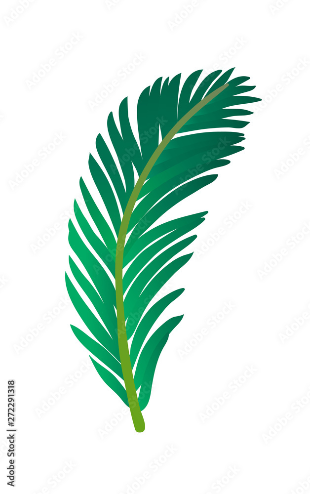 Canvas Prints vector illustration of palm tree leaf.