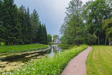 park in the suburbs of St. Petersburg in the summer