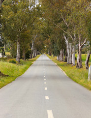 Fototapeta na wymiar landscape of country road. Countryside road
