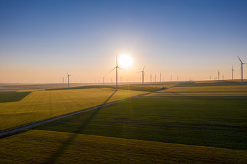 Aerial view of Eolian generators in a beautiful wheat field. Eolian turbine farm. Wind turbine silhouette. Wind field turbines. Wind propeller. Electric power production. Green energy. Morning light