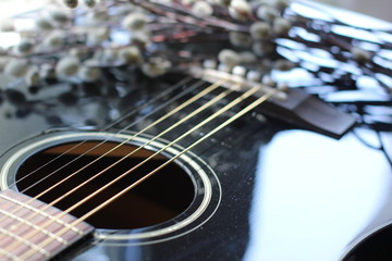 Black guitar and willow twigs, color photo