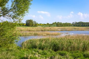 Beautiful Landscape in the springtime.