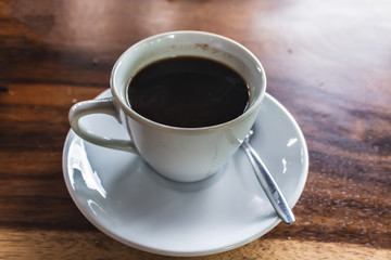 Luwak coffee, in Ubud, Bali, Indonesia