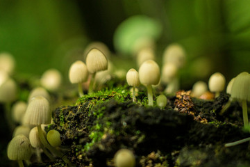 природа россии 