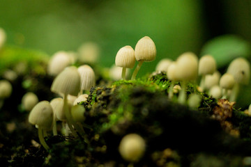 природа россии 