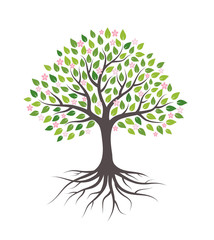 Obraz premium Drzewo z kwiatami, zielonymi liśćmi i korzeniami. Na białym tle Płaski, ilustracji wektorowych.