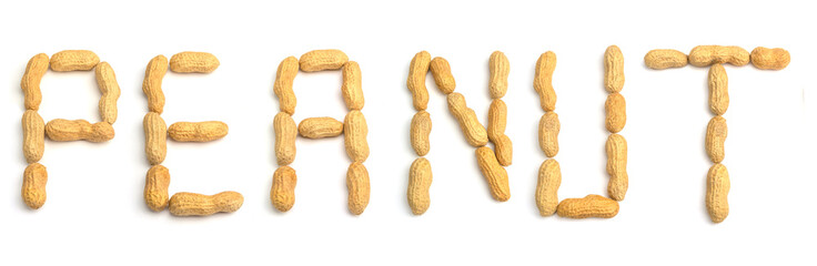 Text aus Erdnüssen freigestellt auf weißem Hintergrund. Erdnüsse geformt zu einem Text. Buchstaben aus Erdnüssen, Ernusstext.  - 272298908