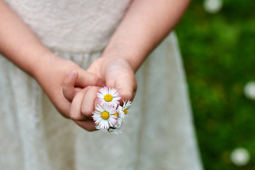 Girl holds a bouquet of daisies in her hands.