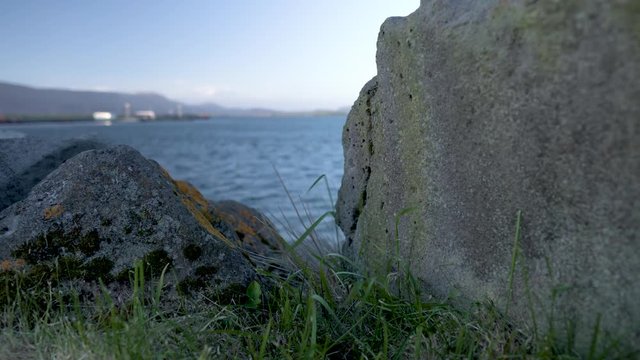 Grass in wind between two boulders next to the ocean. Mountains and unrecognizable buildings in the background.