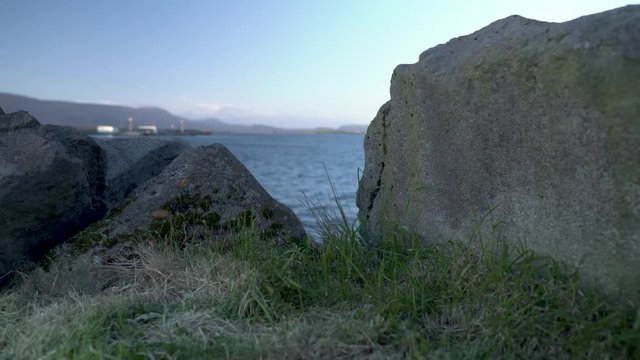 Grass in wind beside boulders looking over the ocean. Mountains and unrecognizable buildings in the background.