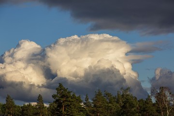 Gorgeous view of beautiful thunderclouds in blue sky above green tree tops. Beautiful nature backgrounds.