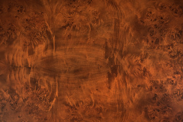 Luxury Wooden texture Background or Backdrop
