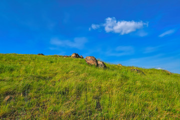 Obraz premium Summer landscape on the mountain against the sky.