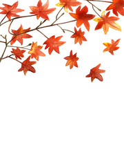 Watercolor hand painted nature autumn maple orange leaves on the brown branch for invitations and greeting cards with the space for text