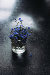 Spring blue forget-me-nots flowers, spring concept, selective focus. A beautiful bouquet of blue flowers bruners in a small vase on a dark table top.