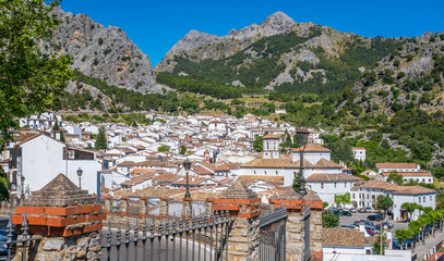 Fototapeta na wymiar Scenic sight in Grazalema, province of Cadiz, Andalusia, Spain.