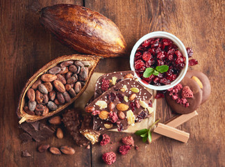 Organic homemade chocolate and cocoa beeens