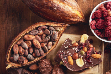 Organic homemade chocolate and cocoa beeens