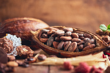 Organic homemade chocolate and cocoa beeens