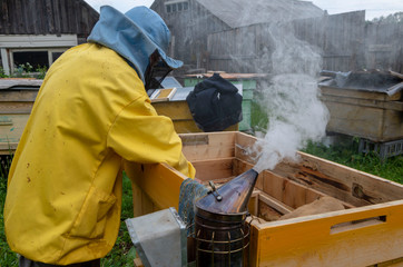 A man pulls out of the hive frame with honey and bees.