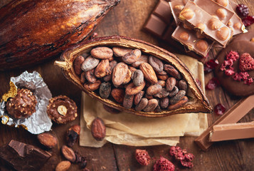 Organic homemade chocolate and cocoa beeens