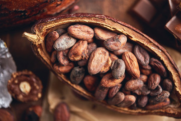 Organic homemade chocolate and cocoa beeens