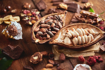 Organic homemade chocolate and cocoa beeens