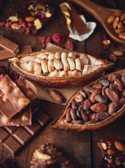 Organic homemade chocolate and cocoa beeens