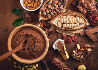 Organic homemade chocolate and cocoa beeens