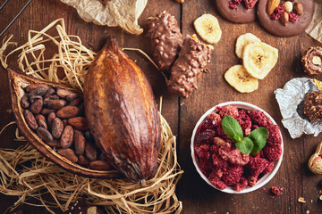 Organic homemade chocolate and cocoa beeens