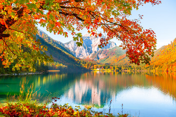 Fototapety  Żółte jesienne drzewa na brzegu jeziora w Alpach, Austria. Jezioro Vorderer Langbathsee. Piękny jesienny krajobraz