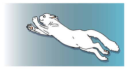 vector isolated picture of a jumping white cat on a turquoise background. postcard with a white cat.  style "Paper Cut" 