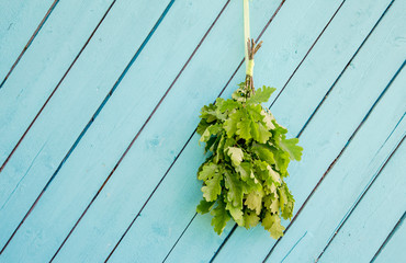 Oak tree sauna whisk broom ( also known as vasta, vihta or venik) hanging and drying on the wall,...