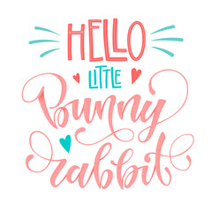 Hello Little Bunny Rabbit quote. Isolated color pink, blue flat hand draw calligraphy script and grotesque lettering logo phrase.