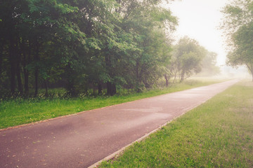 Road in the middle of the park on a summer day stretching into the fog