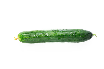 Fresh and ripe green cucumber with water dropsisolated on a white 