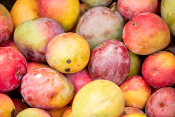 Mangos