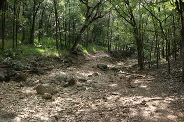 Dry Riverbed Crossing