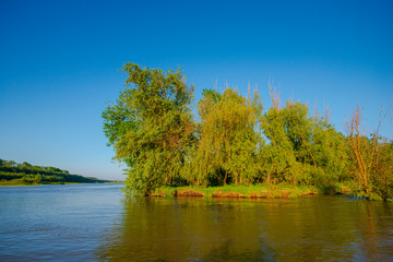 Danube Delta in the springtime