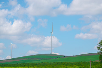 Fototapeta na wymiar Windmill field 