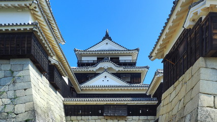 Fototapeta premium 松山城７