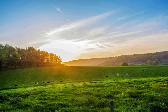 Country idyll in Normandy