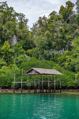 Waigeo, Kri, Mushroom Island, group of small islands in shallow blue lagoon water, Raja Ampat, West Papua, Indonesia