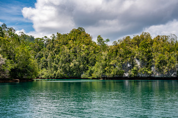 Obraz premium Waigeo, Kri, Mushroom Island, group of small islands in shallow blue lagoon water, Raja Ampat, West Papua, Indonesia