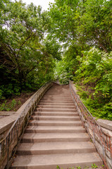 Fototapeta na wymiar Steps in the woods in Highland Park, located in Pittsburgh, Pennsylvania, USA on a sunny day