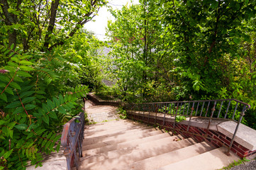 Steps in the woods in Highland Park, located in Pittsburgh, Pennsylvania, USA on a sunny day