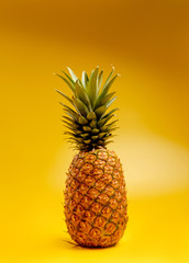 pineapple on yellow background