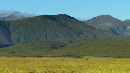 very beautiful nature