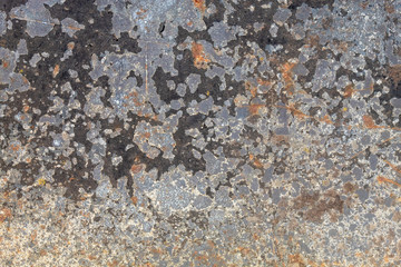 Grayish Old Weathered Metal Texture