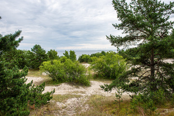 sunny summer hiking trail footpath in the woods for tourists